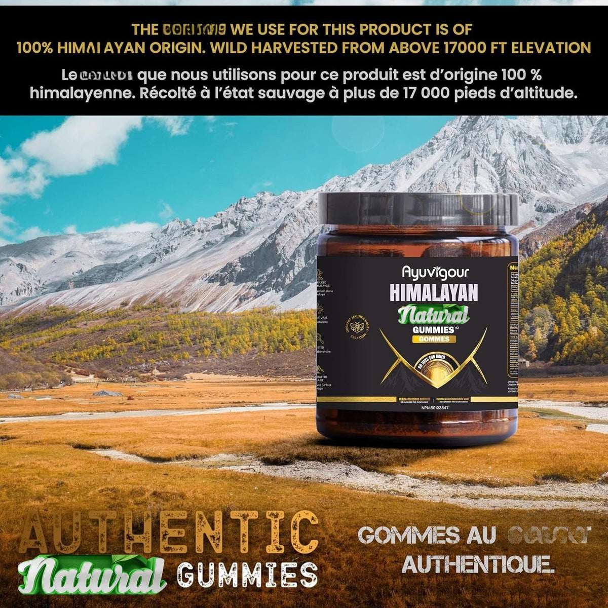 Ayuvigour Shilajit Gummies with Fulvic Acid - 30ct