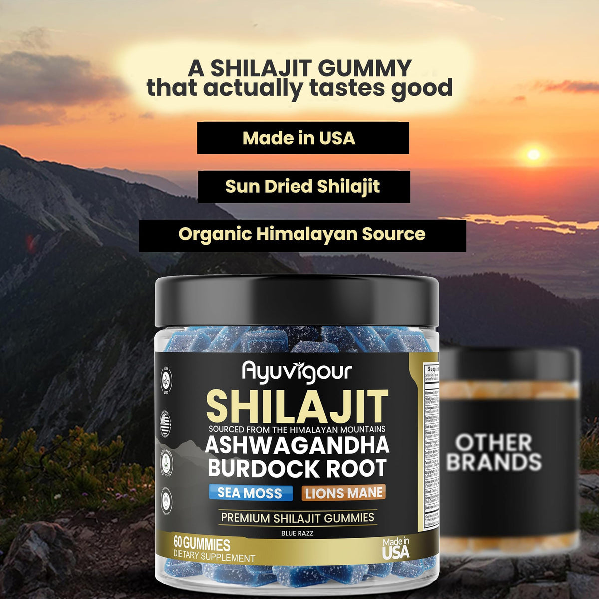 Ayuvigour Shilajit Gummies with Fulvic Acid - 60ct