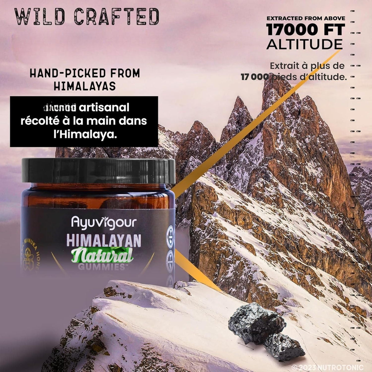 Ayuvigour Shilajit Gummies with Fulvic Acid - 30ct